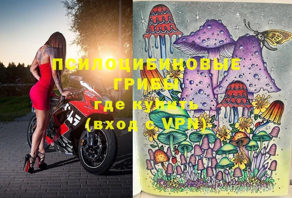 эйфоретик Балахна