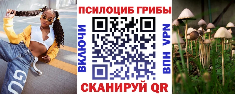 Псилоцибиновые грибы Cubensis  Горбатов 